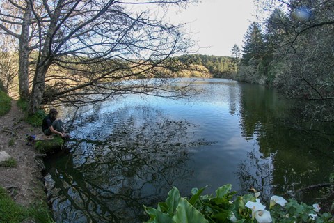 A hiker sits beside a secluded lake, surrounded by trees and white flowered plants