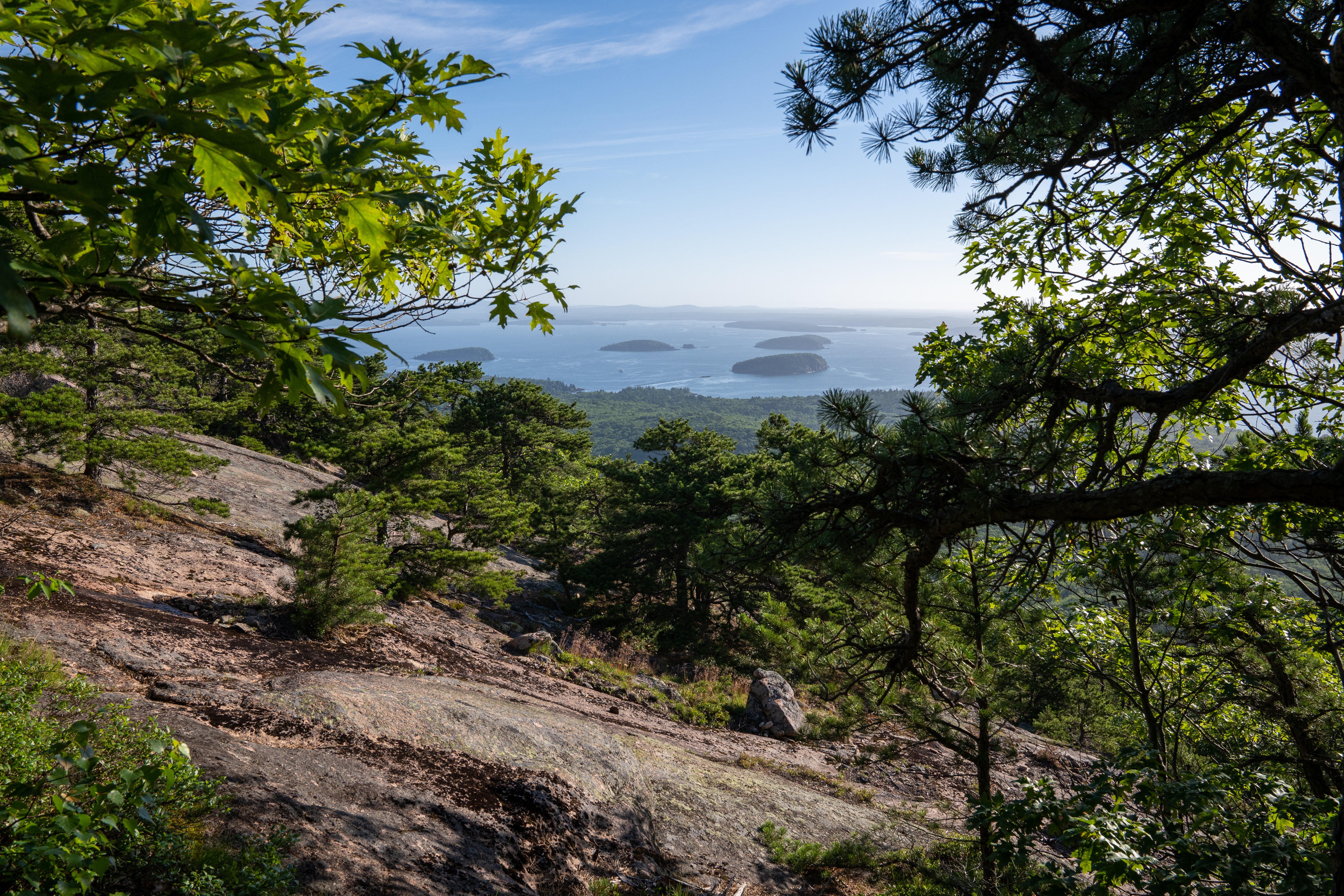 View of a bay, islands, and a forest below from a mountain ridge line
