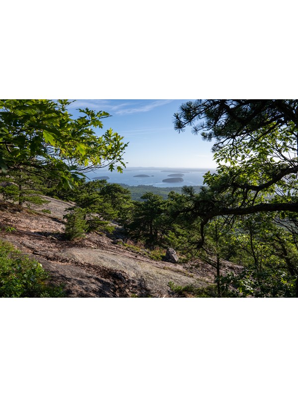 View of a bay, islands, and a forest below from a mountain ridge line