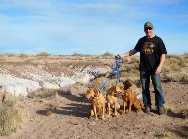 Man walking three dogs in badlands with blue sky.