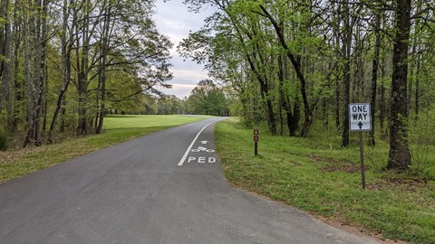 One way road with a cycling lane on the right side.