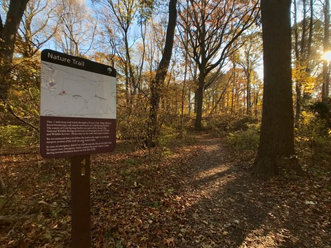 A trail with yellow autumn leaves on trees and a sign in the foreground with "Nature Trail" and map.