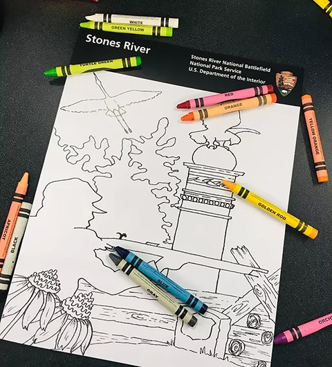 Crayons of several colors on a book with drawings of monuments, plants and animals.