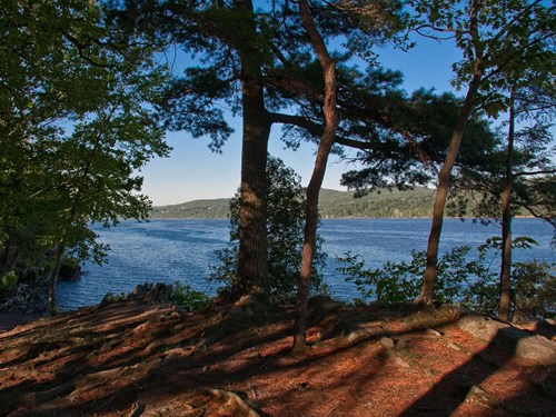 Bard Rock