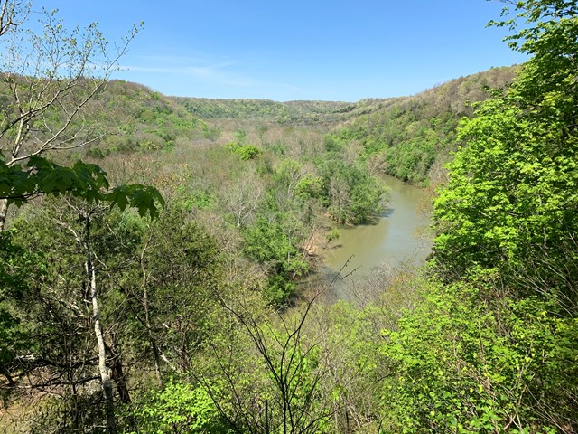 Bright green forested hills descending to a wide, murky river under blue sky