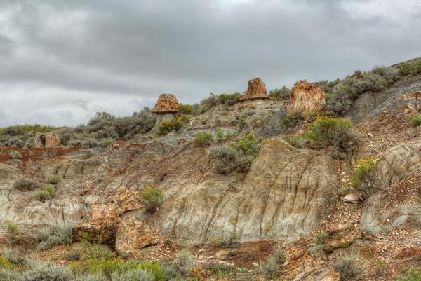 Several petrified stumps scattered along the side of a butte under a cloudy sky.