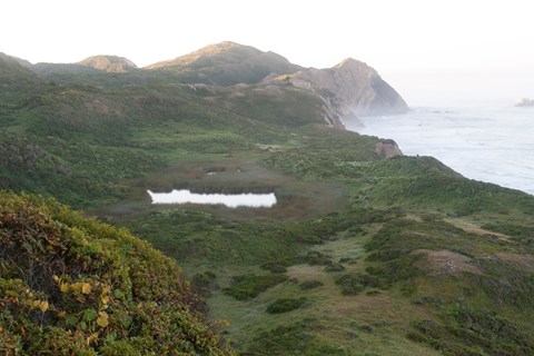 A small lake nested in coastal scrub brush near cliffs that descend to a foggy ocean.