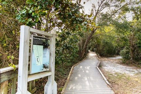 A sign for the Brackenridge Nature Trail stands next to a boardwalk that leads into the woods.