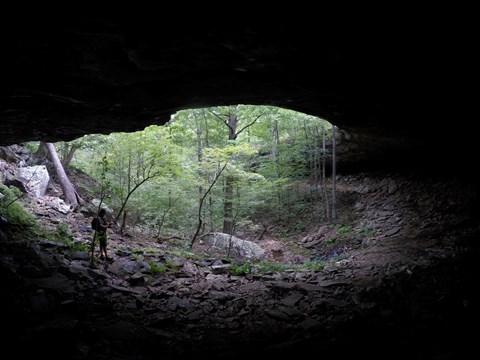 A view out into a forest from the back of a rock shelter