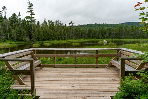 A wooden viewing platform with built in benches looks out at a large pond and forested wetland area.