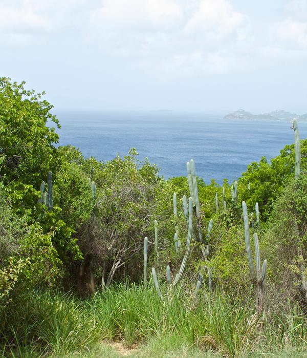 View from Tektite Trail