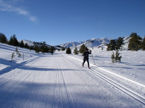 A cross-country skier travels down the groomed park road in winter.