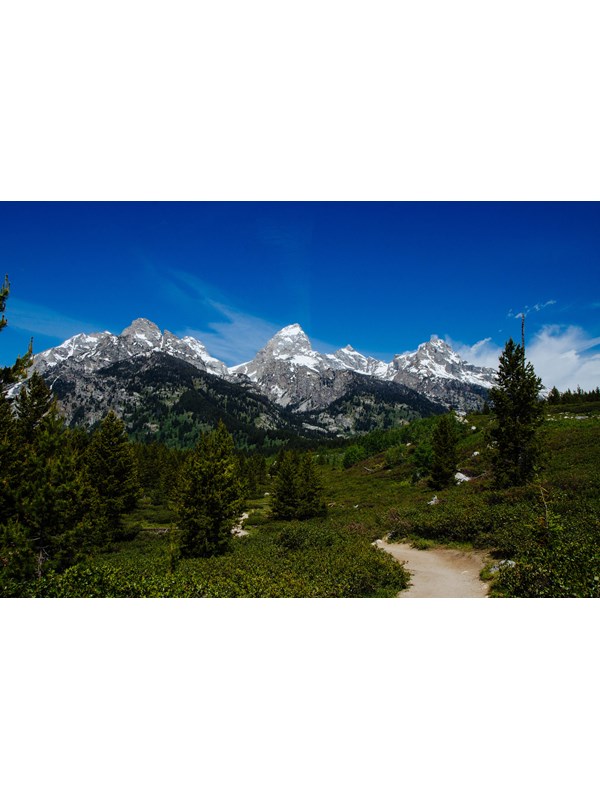 A trail winds through bushes towards a mountain range.