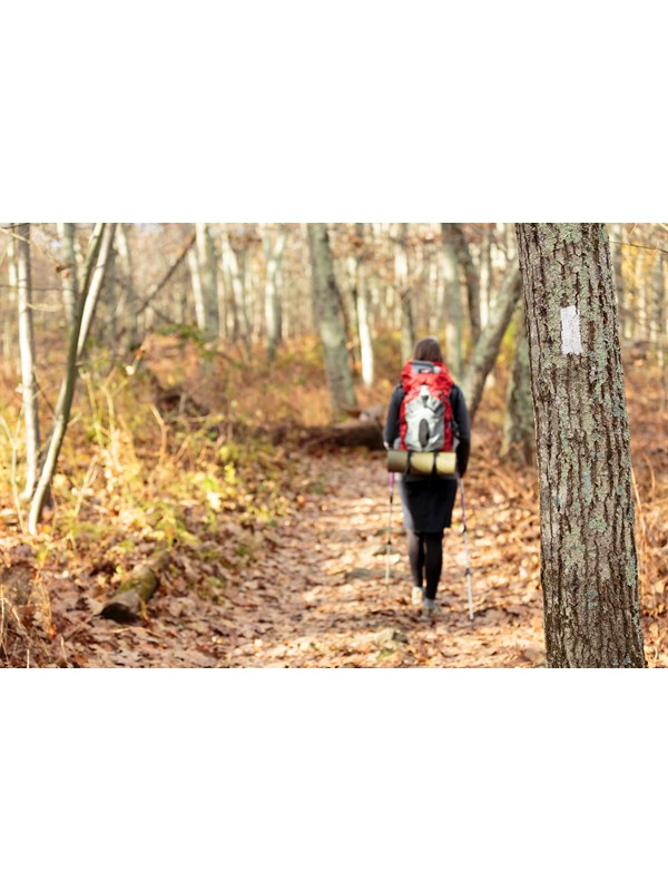 A man hikes down a trail away from a tree with a white blaze on it.
