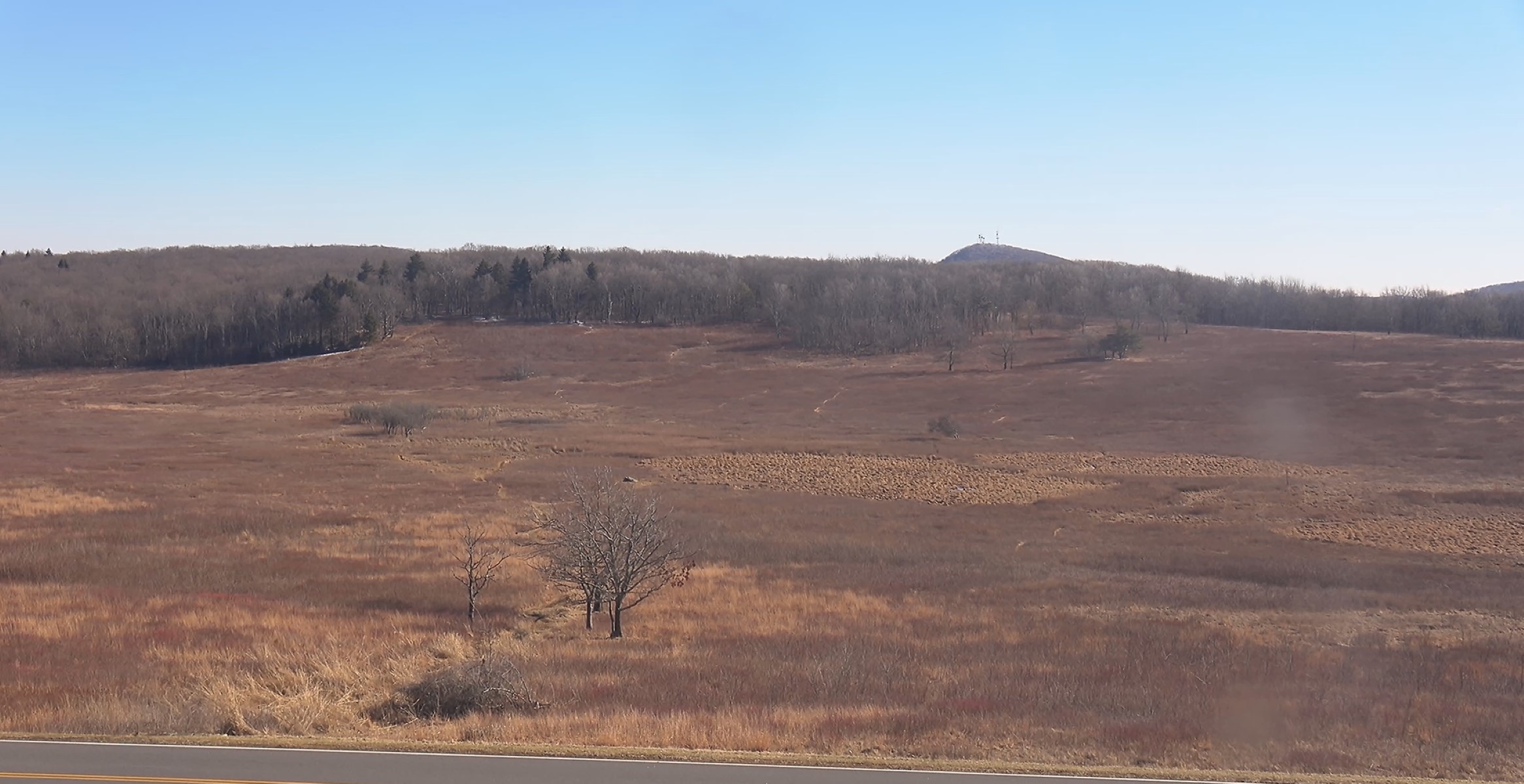 View from the Big Meadows Live camera