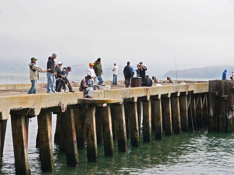 Visitors standing on a pier with fishing poles.