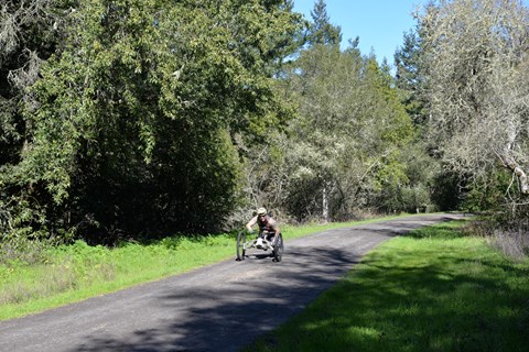 A handcyclist smiles as he cycles along a wide gravel trail, bordered by bay trees and green grass.