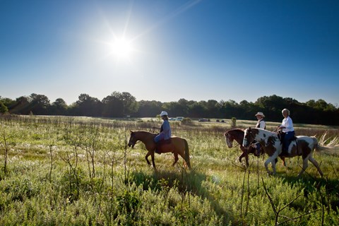 Three riders on horseback riding in a prairie