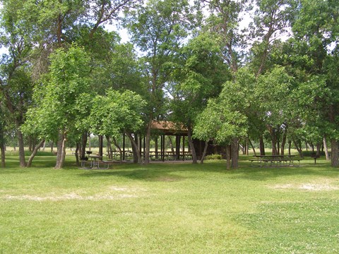 A large grassy field with picnic tables and trees throughout.