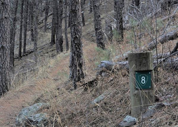 Post #8 The Busybody