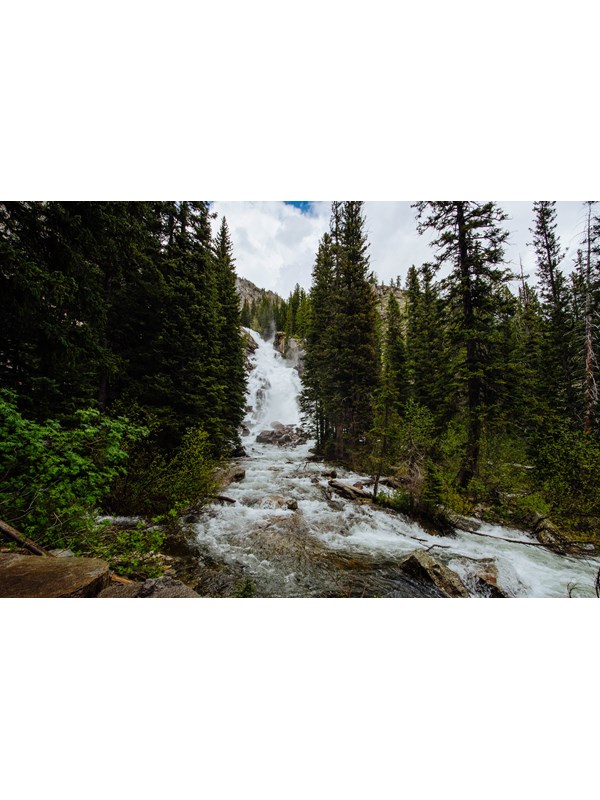 Water cascades down a 100 ft waterfall tucked into a forest of conifer trees.