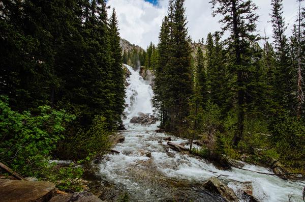 Water cascades down a 100 ft waterfall tucked into a forest of conifer trees.