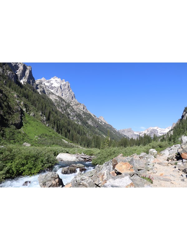 A creek runs along a rocky trail in the middle of a mountain canyon.