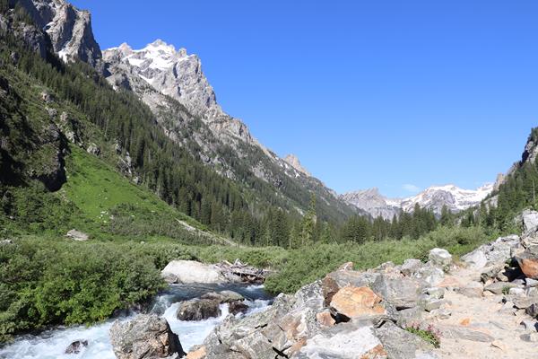 A creek runs along a rocky trail in the middle of a mountain canyon.