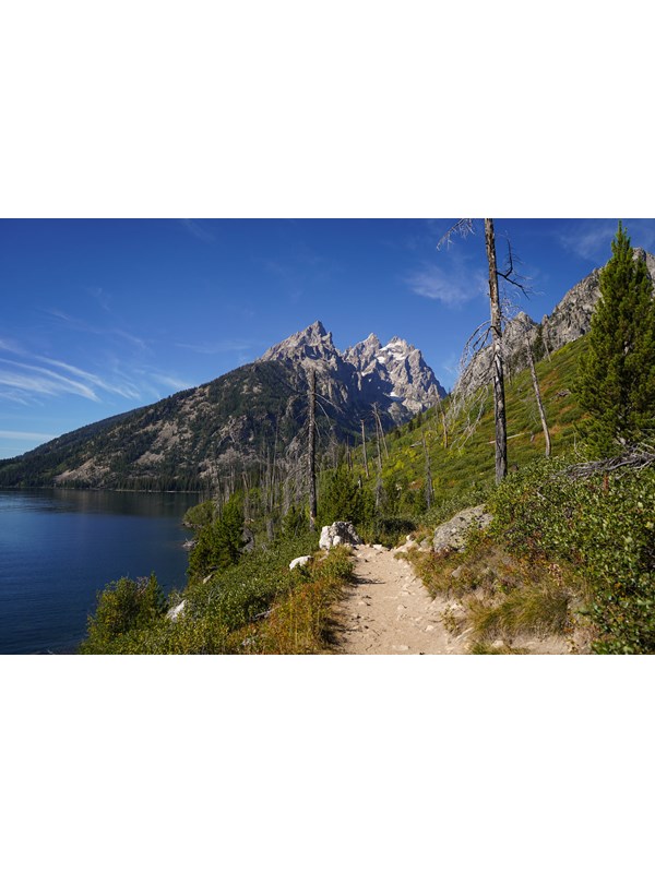 A trail travels through bushes along a lakeshore towards a mountain range.