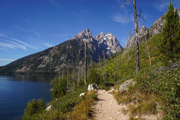 A trail travels through bushes along a lakeshore towards a mountain range.