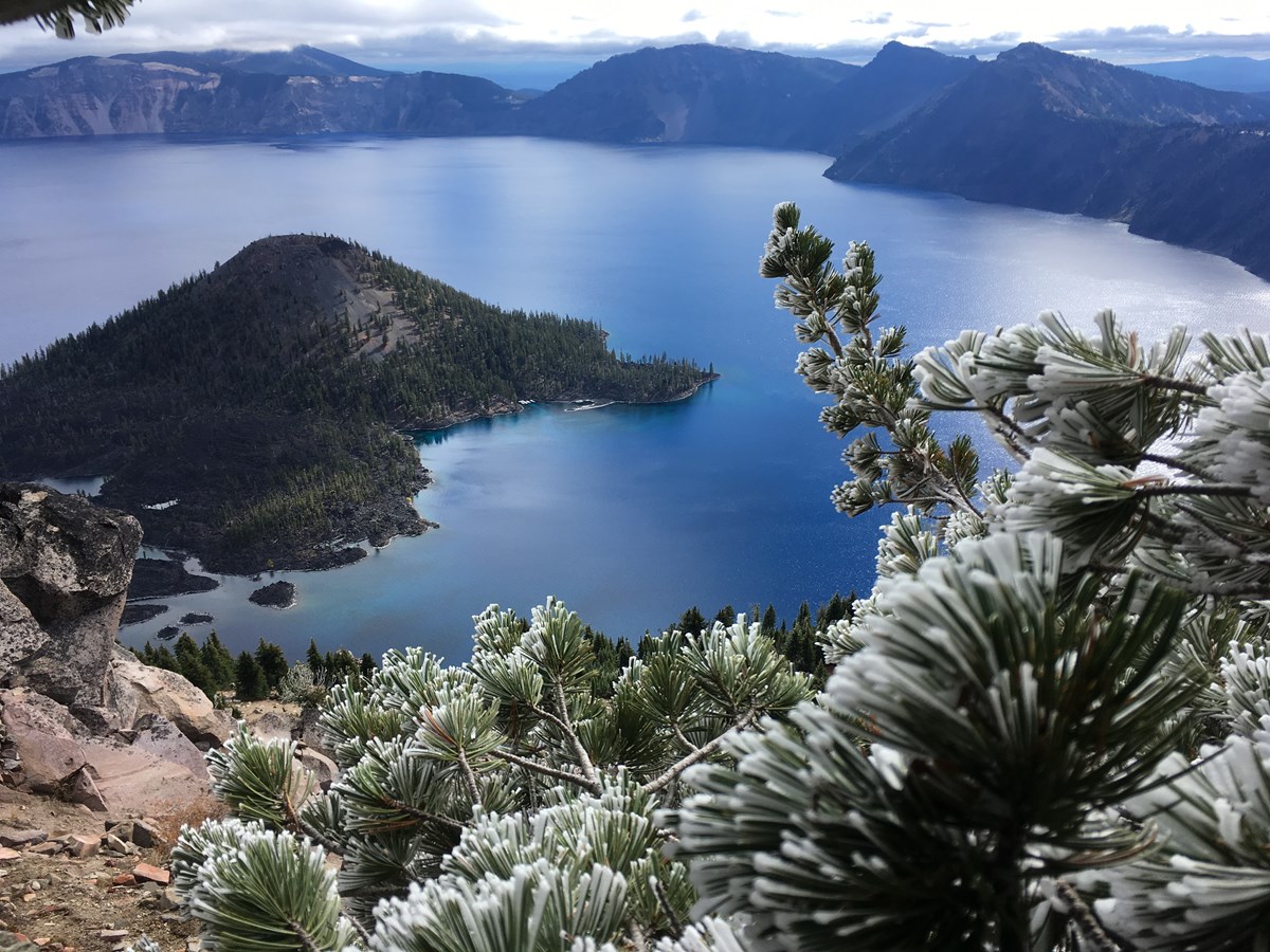 Conifer needles holding snow and clouds above and framing Crater Lake and Wizard Island