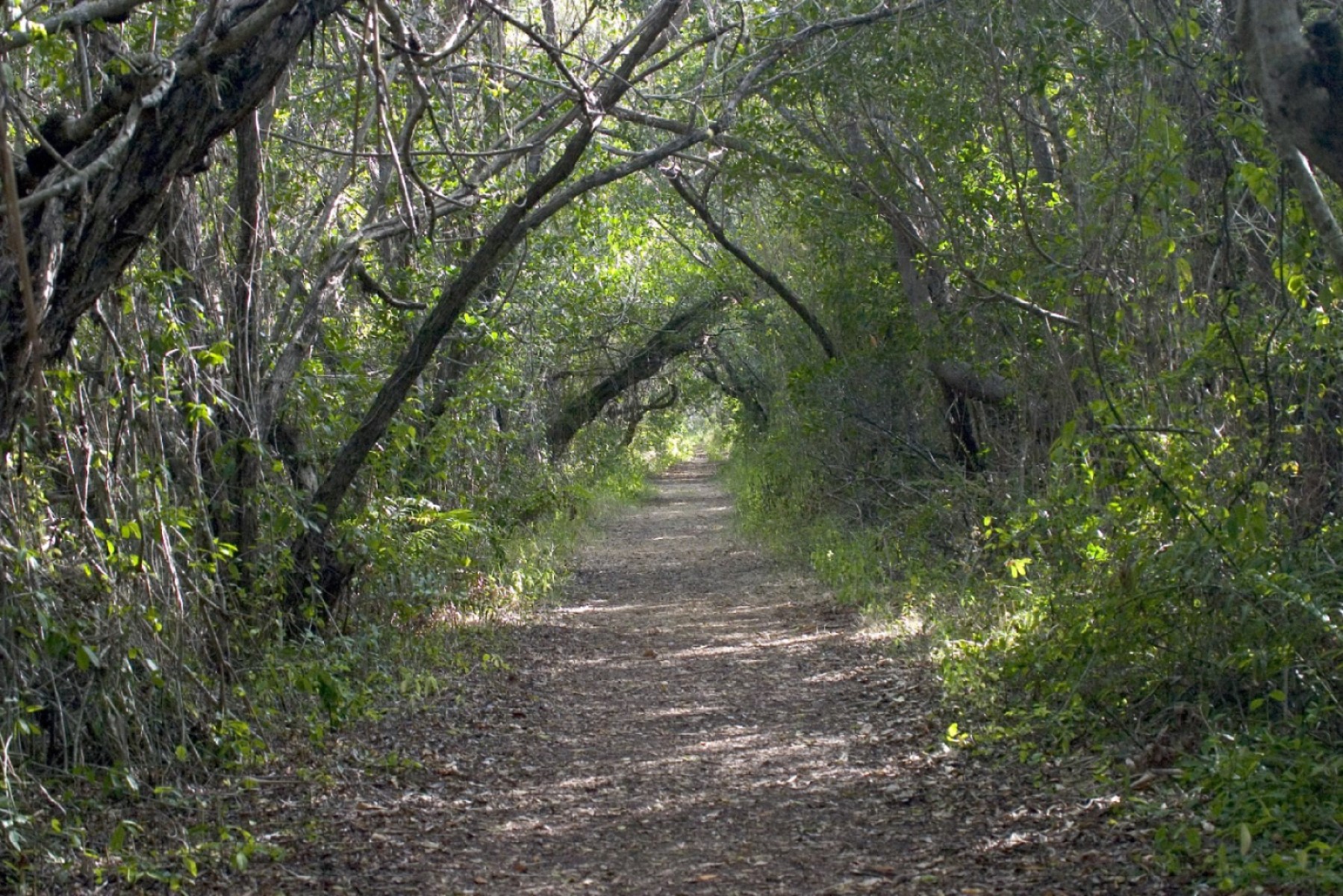 Snake Bight Hiking Trail