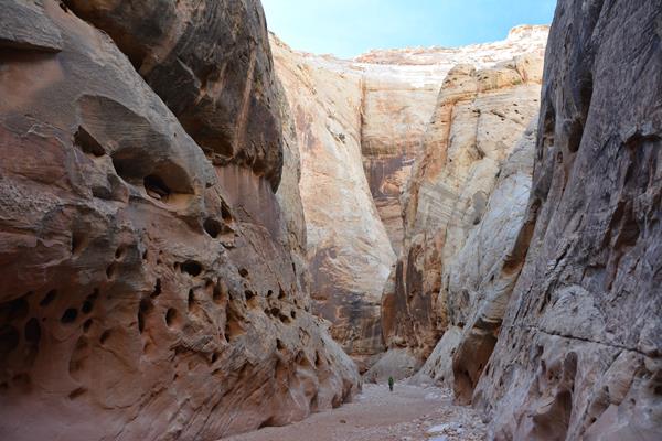 A person stands in a sandy wash in a deep cream colored sandstone canyon.