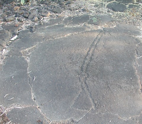 Images carved on lava