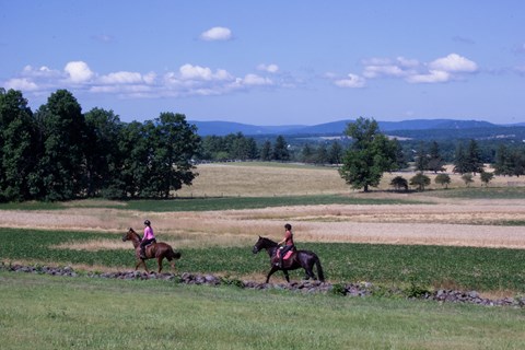 Two horses with riders galloping near a stone fence