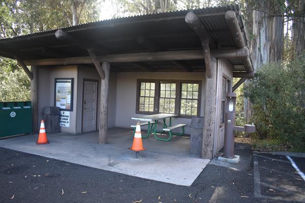 A three-walled shelter houses one picnic table among tall pine trees.