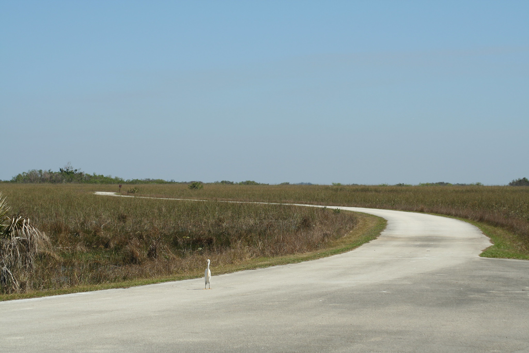 Shark Valley Visitor Center
