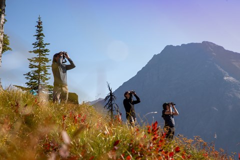 Three birders use binoculars to look for migrating raptors with a mountain in the background.