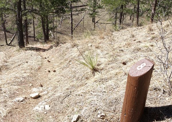 Post #8 Lessons of Nature