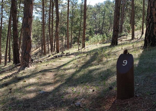 Post #9 Happy Trails