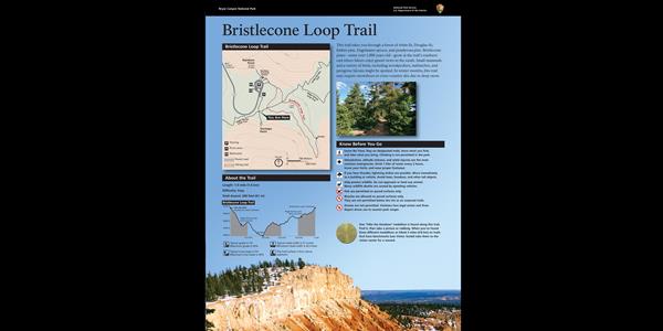 Wayside exhibit providing orientation to the Bristlecone Loop Trail.