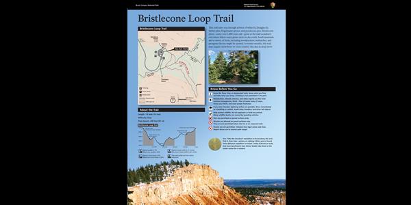 Wayside exhibit providing orientation to the Bristlecone Loop Trail.