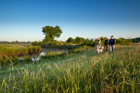 A grassy view with a small group and a dog walking a trail.