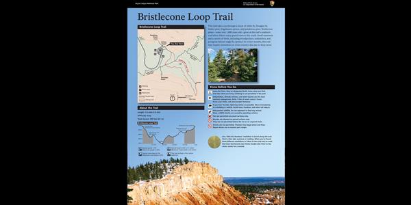 Wayside exhibit providing orientation to the Bristlecone Loop Trail.