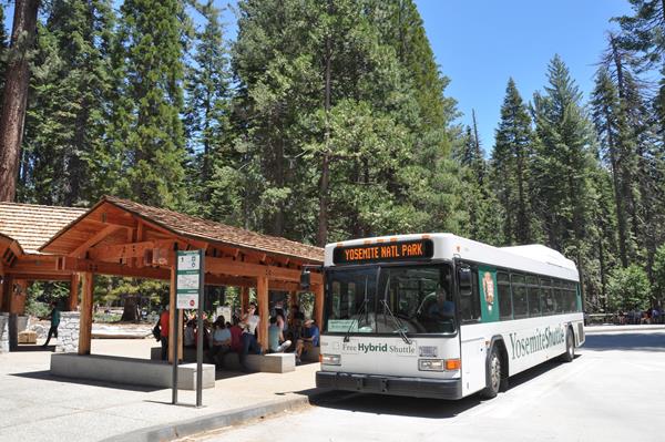 Bus at covered bus shelter in Mariposa Grove