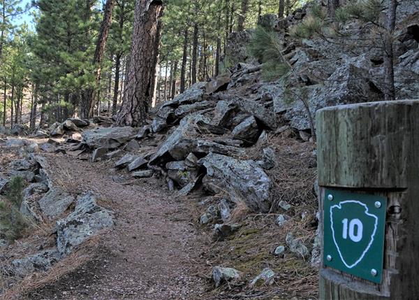 Post #10 Soil Formation