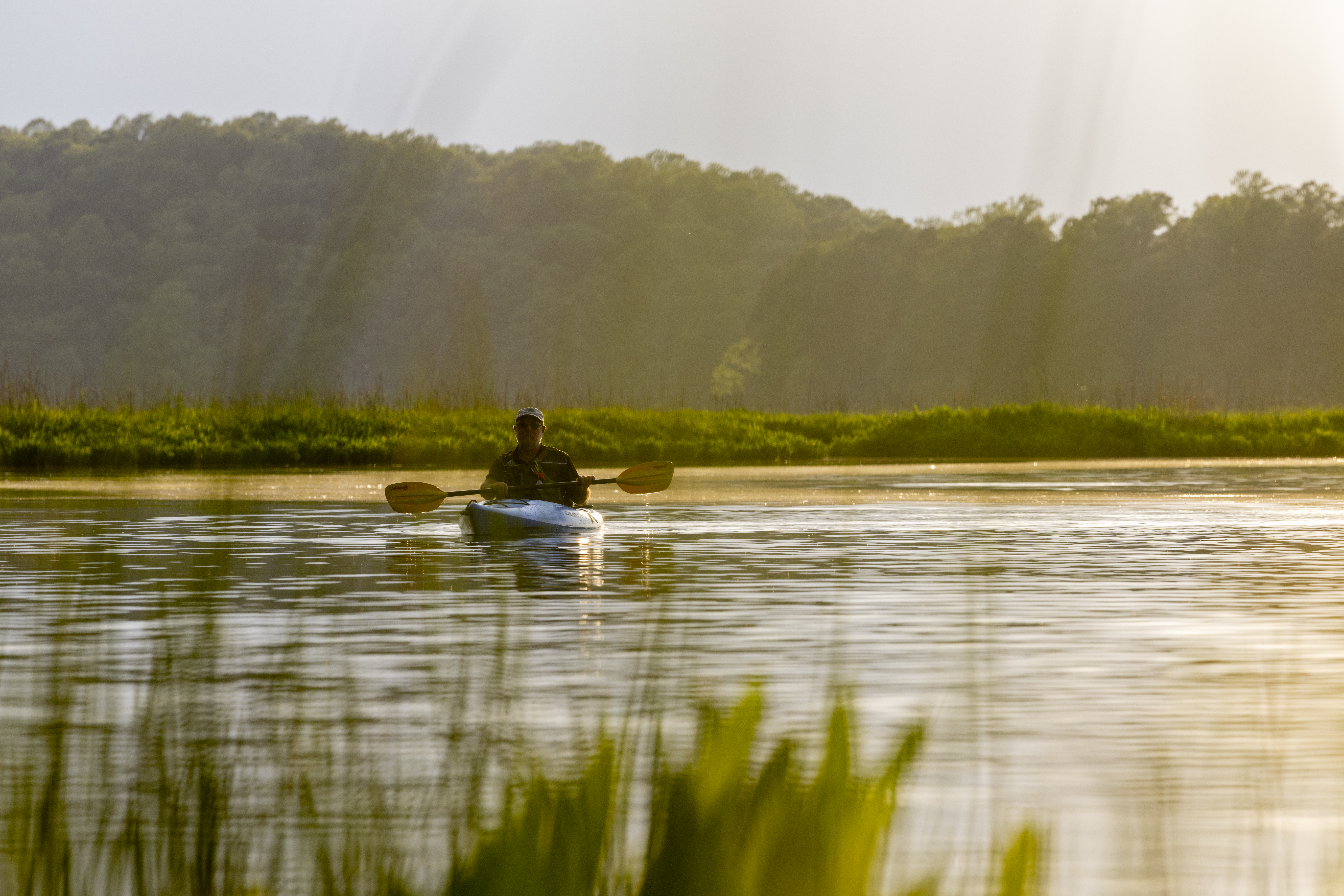 A person kayaking on a calm body of water during morning light, surrounded by lush greenery.