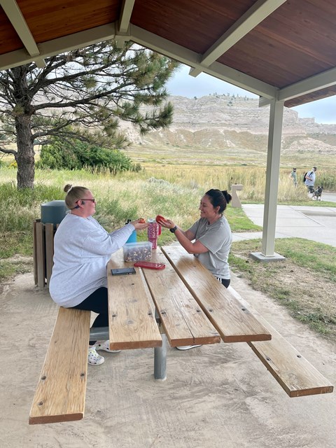 Two ladies enjoy a picnic at a picnic shelter.