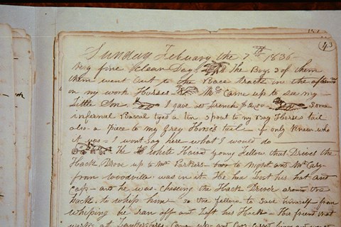 William Johnson's Diary