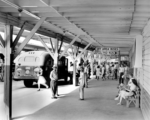 A busy bus terminal in Oak Ridge. People stand waiting for the bus.